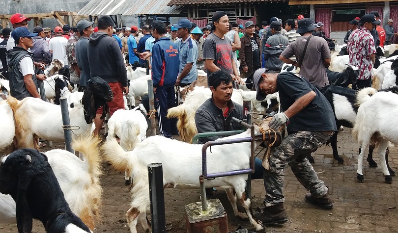 Konten Berita