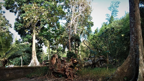 Konten Berita